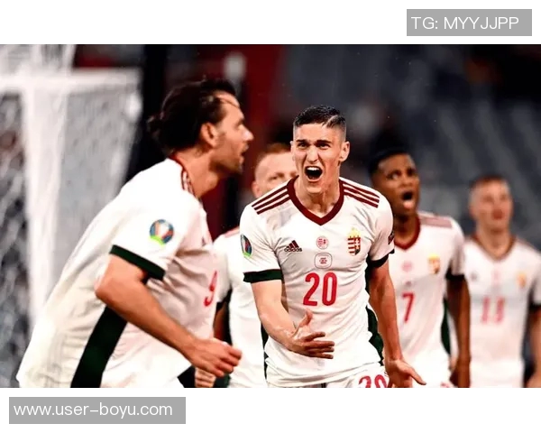 心系爱尔兰埃文弗格森酒吧见证球队逆转匈牙利精彩瞬间